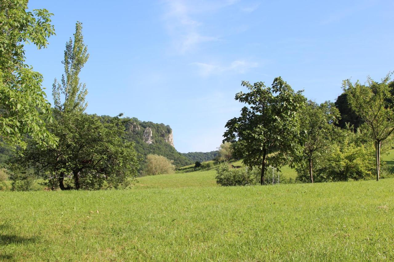 Domaine De Bellevue Gite Du Mont Poupet Marnoz Buitenkant foto